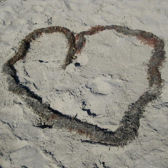 Meet your Posher, Bren - Picture 1 of 1